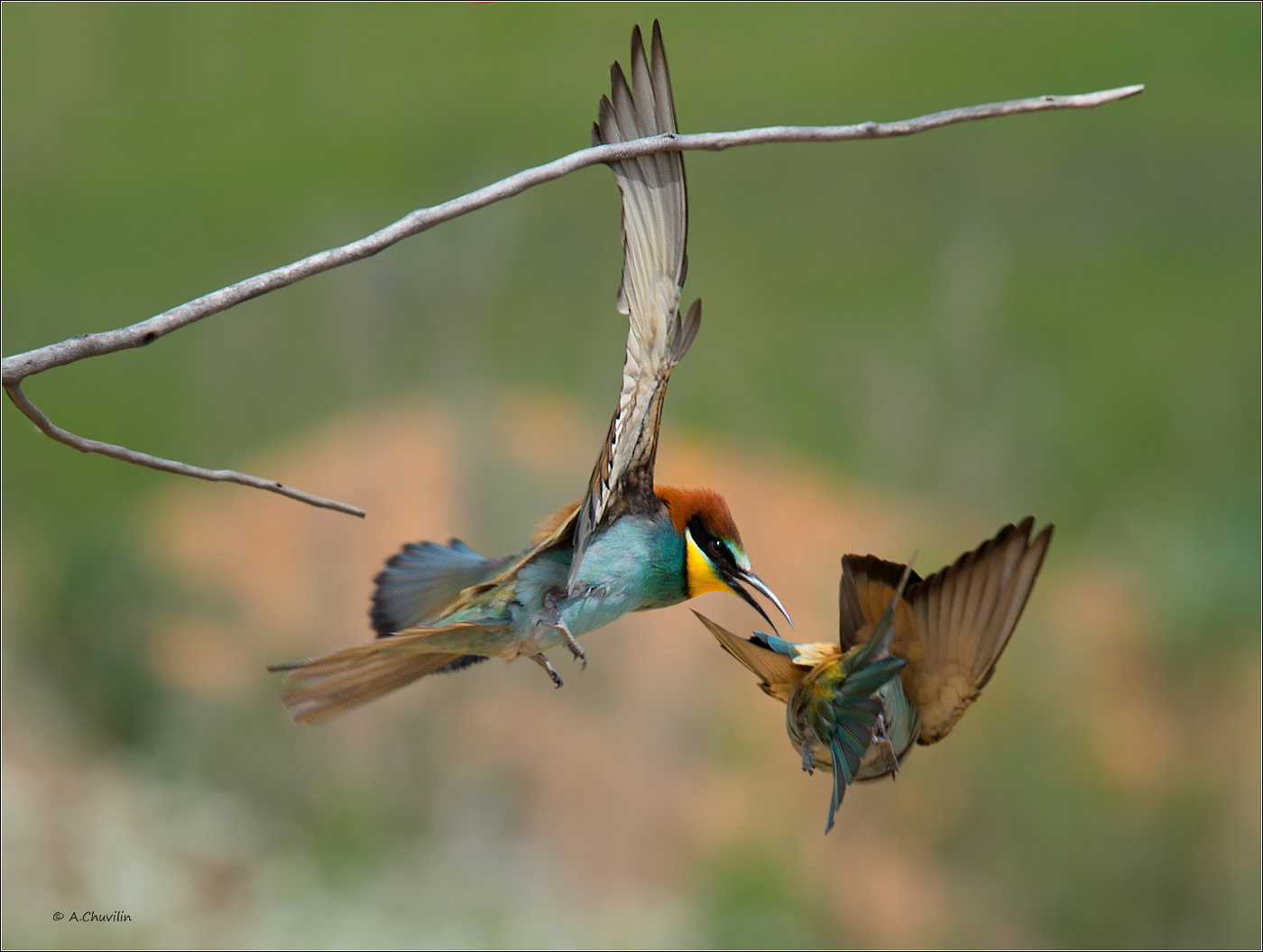 Ну держись! Проколю! )
