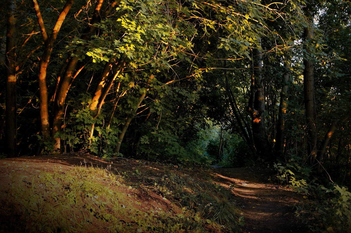 *Тропинка.**