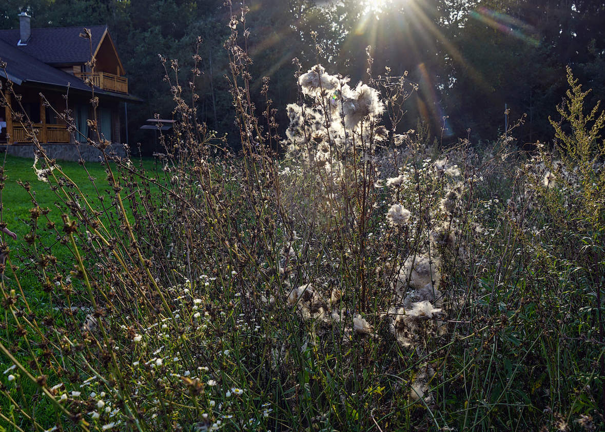 домик на окраине