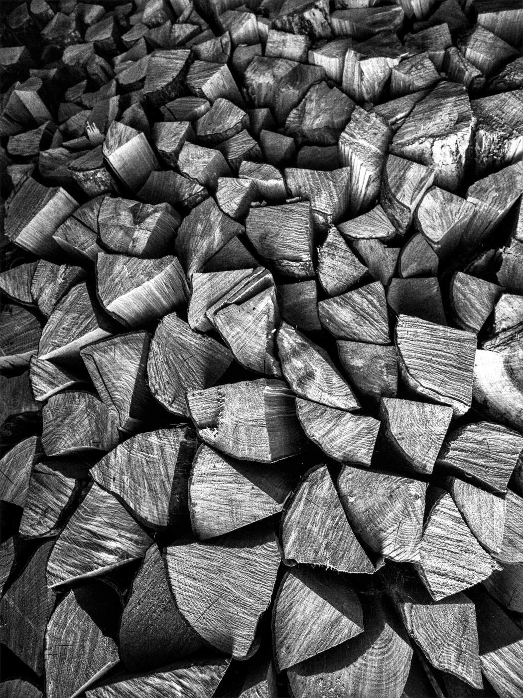 Жизнь вокруг