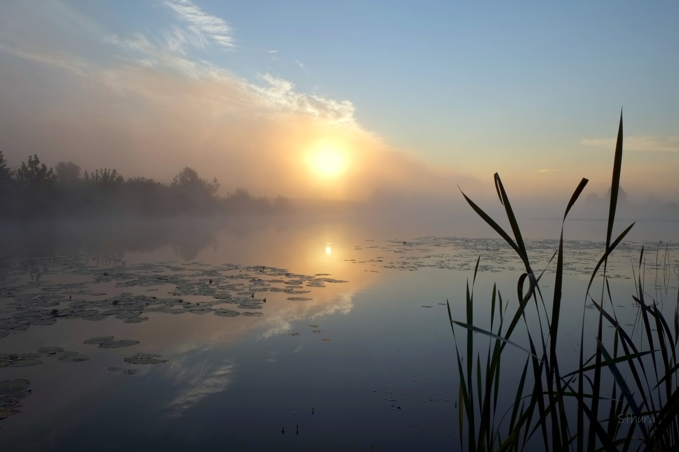 Летнее утро.