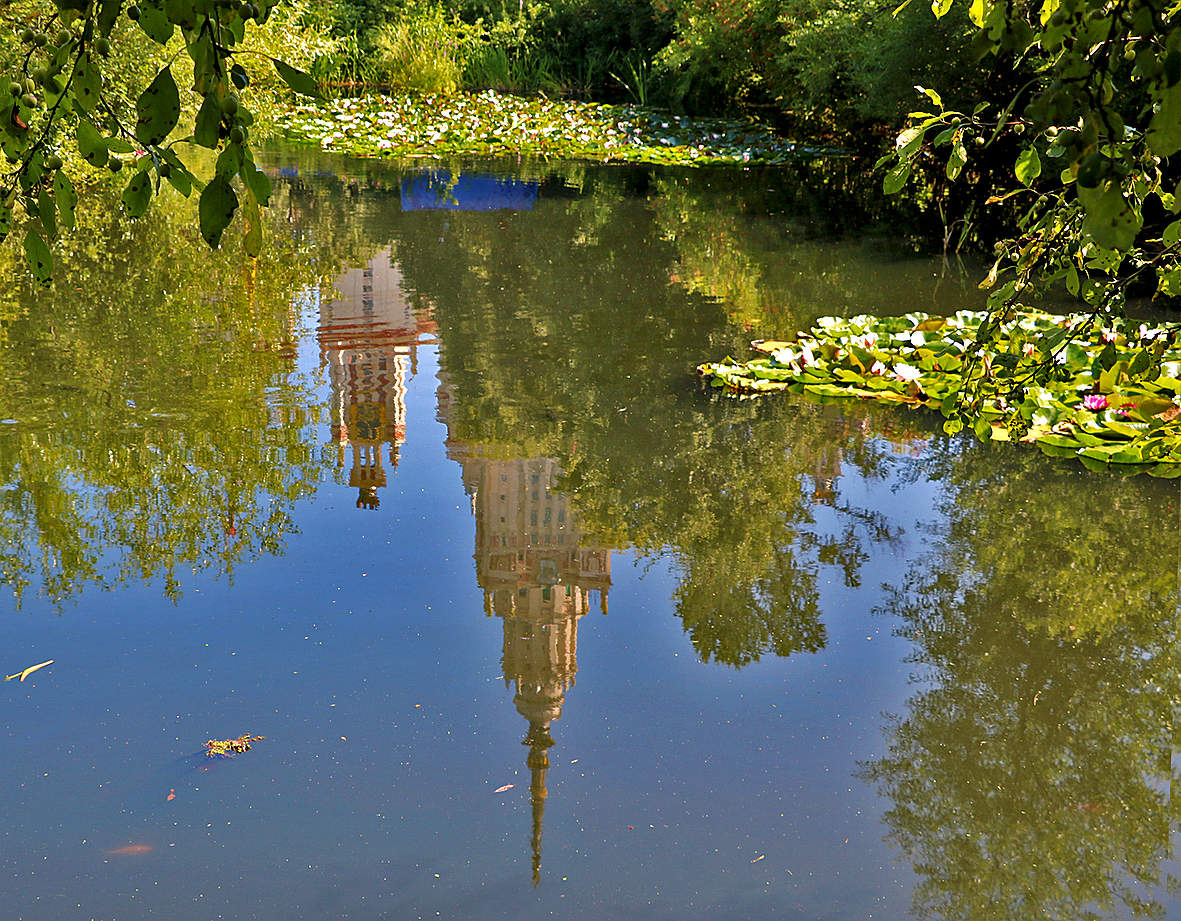 Отражение МГУ в пруду ботанического сада
