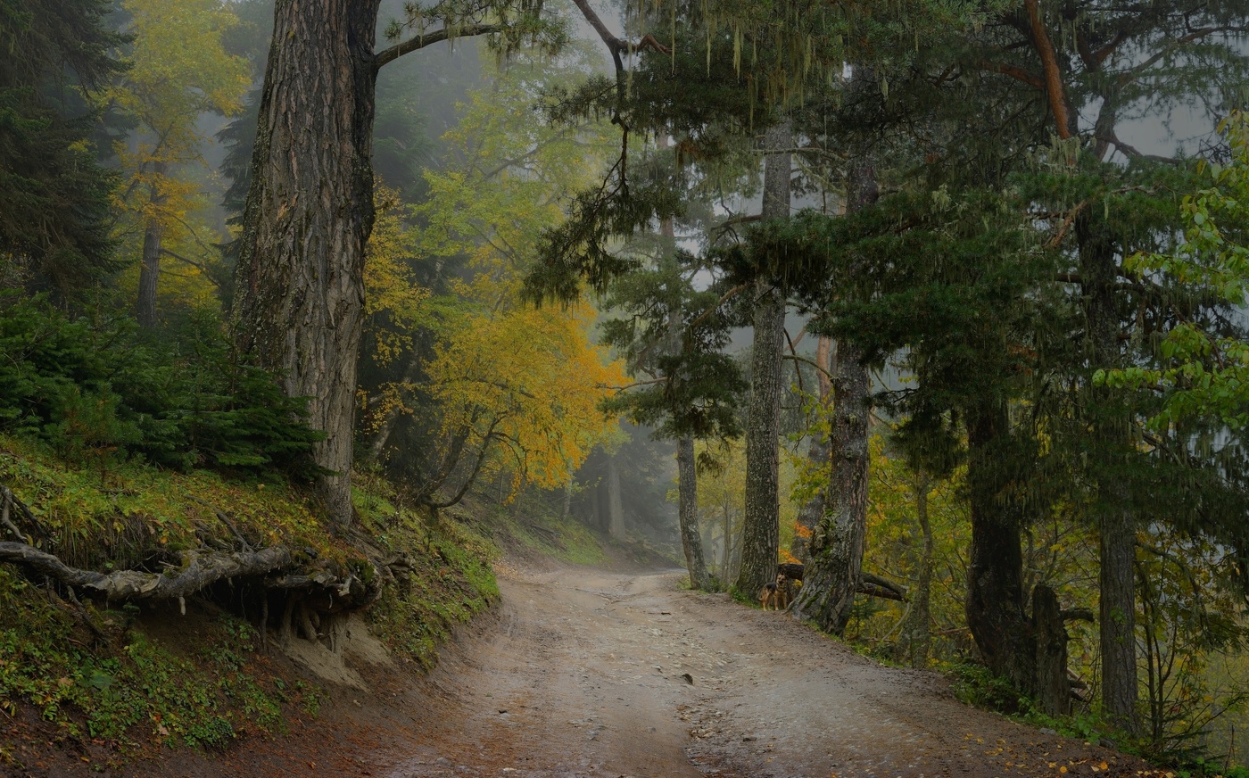 Осенняя дорога в горах