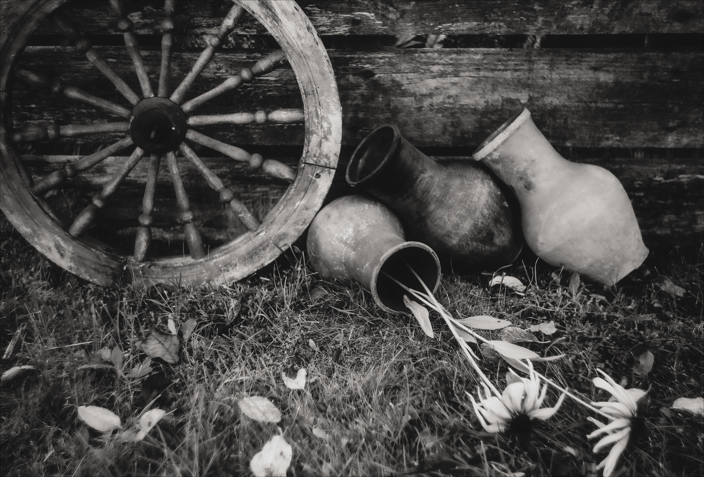 ЗАПАХ ОСЕНИ