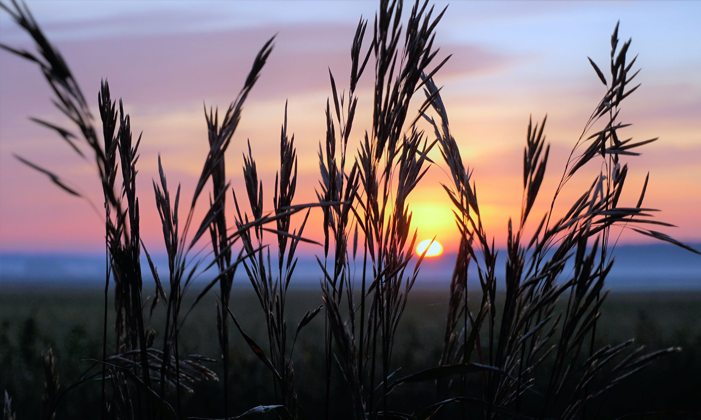 Рассветное