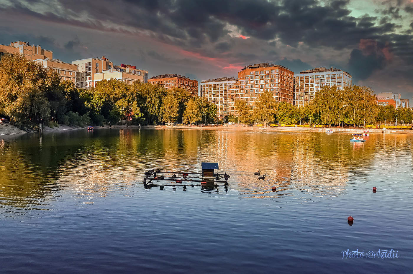 Утиный рай.