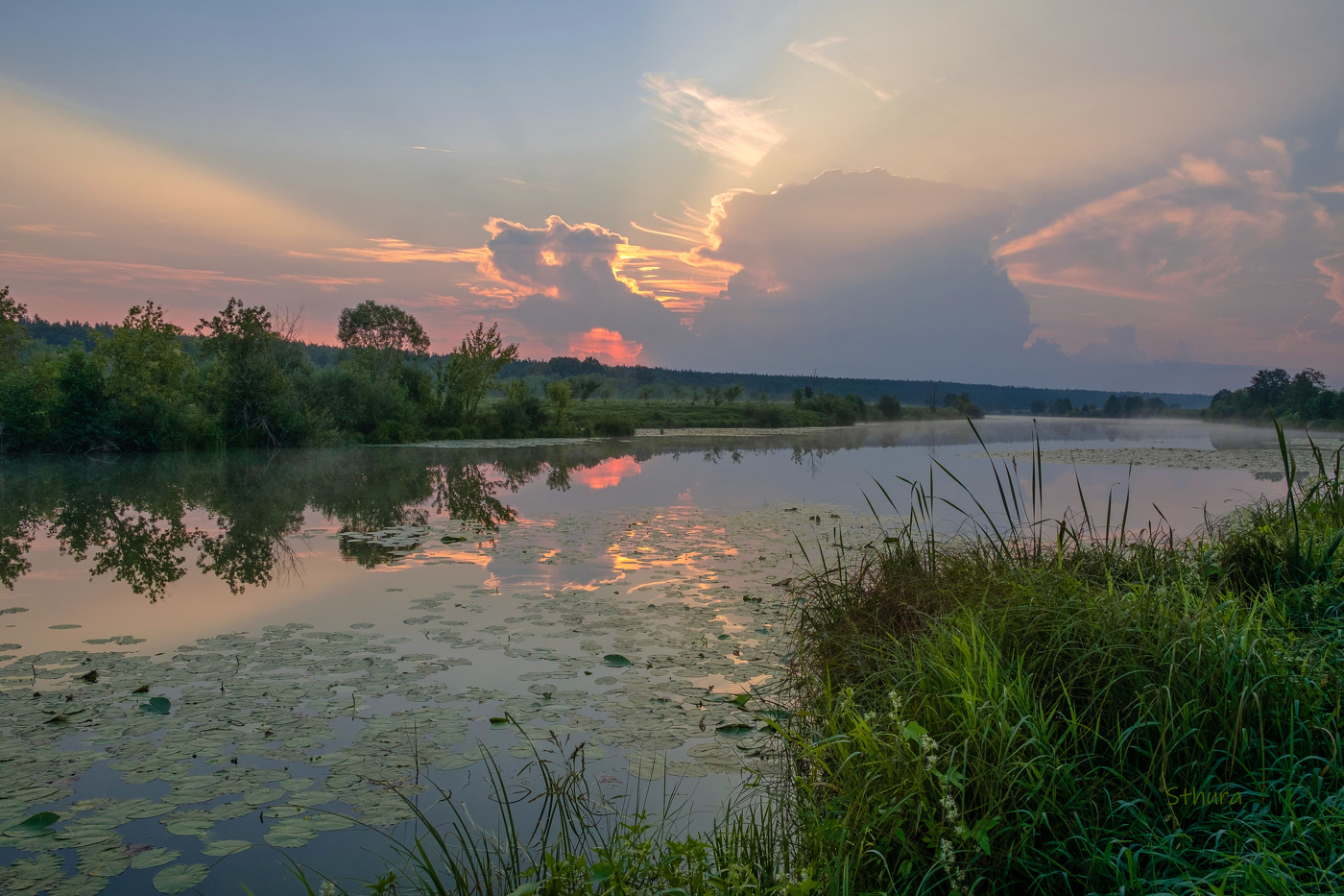 Начало августа.
