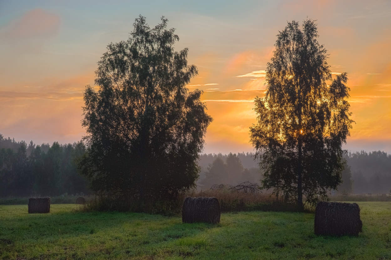 Ритмы рассвета