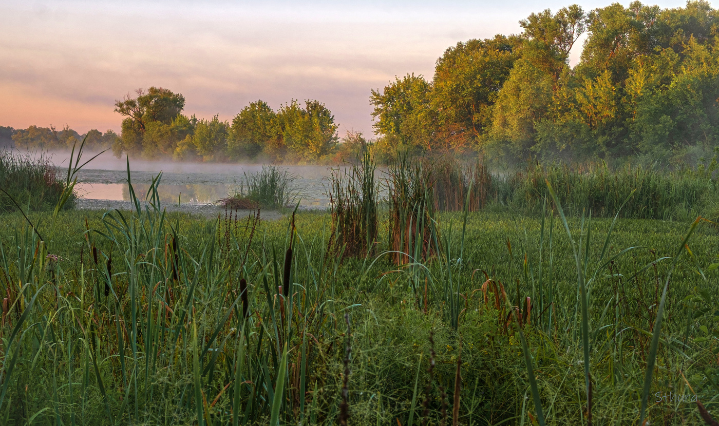 Озеро Студёное. На рассвете.