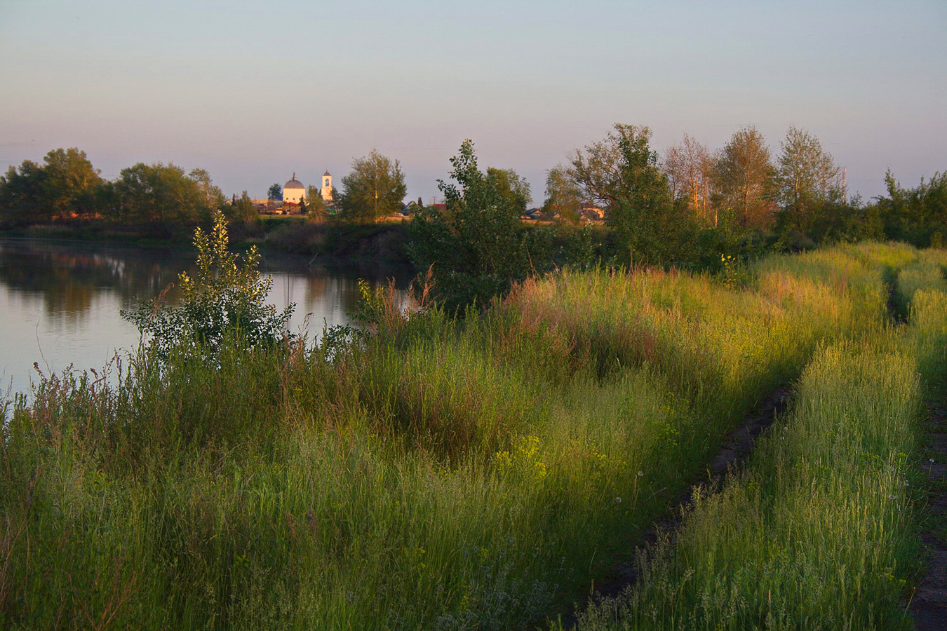 вечерний свет