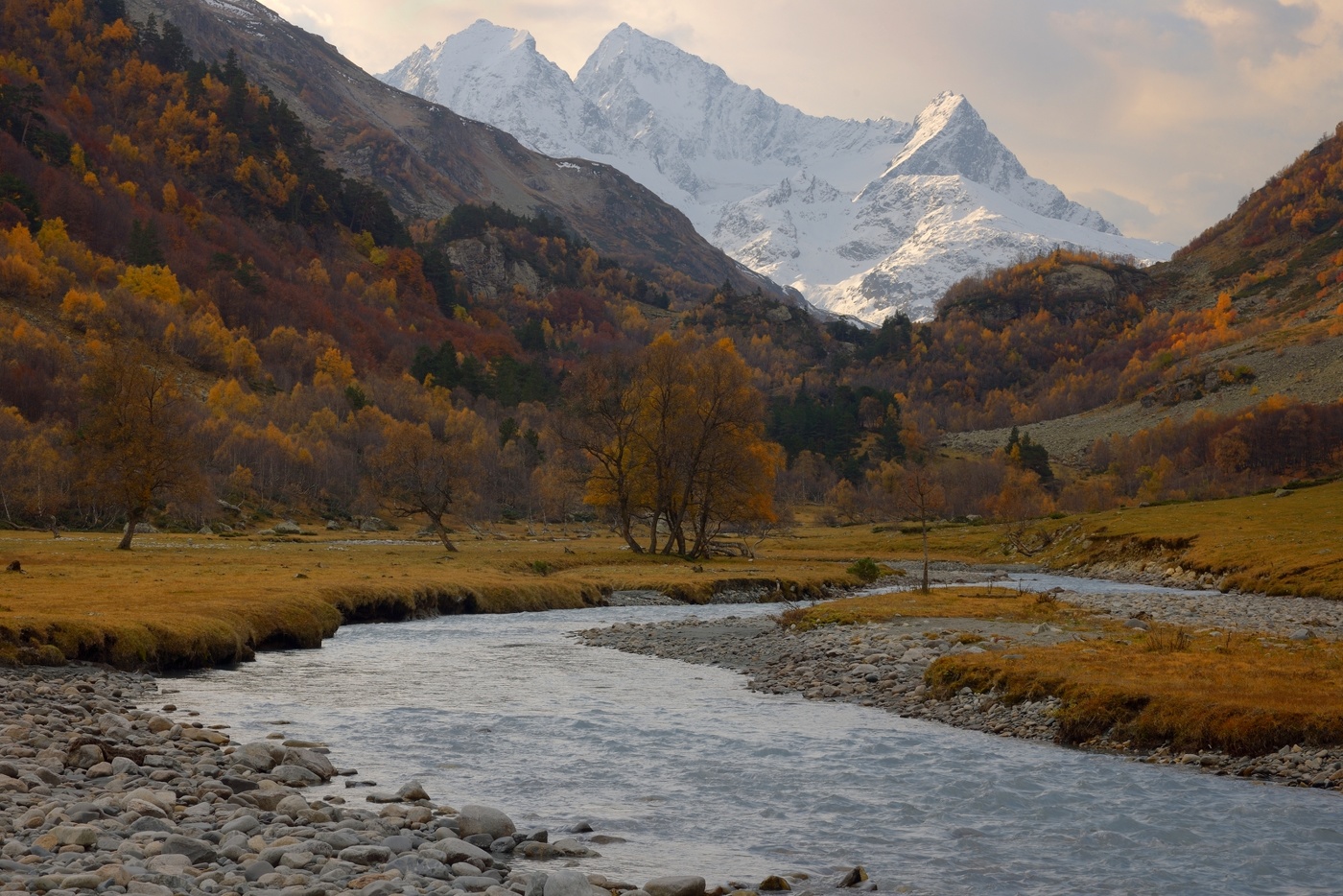 Медвежья пасть
