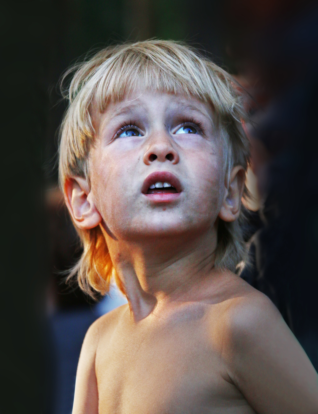 Чумакзый мечтатель