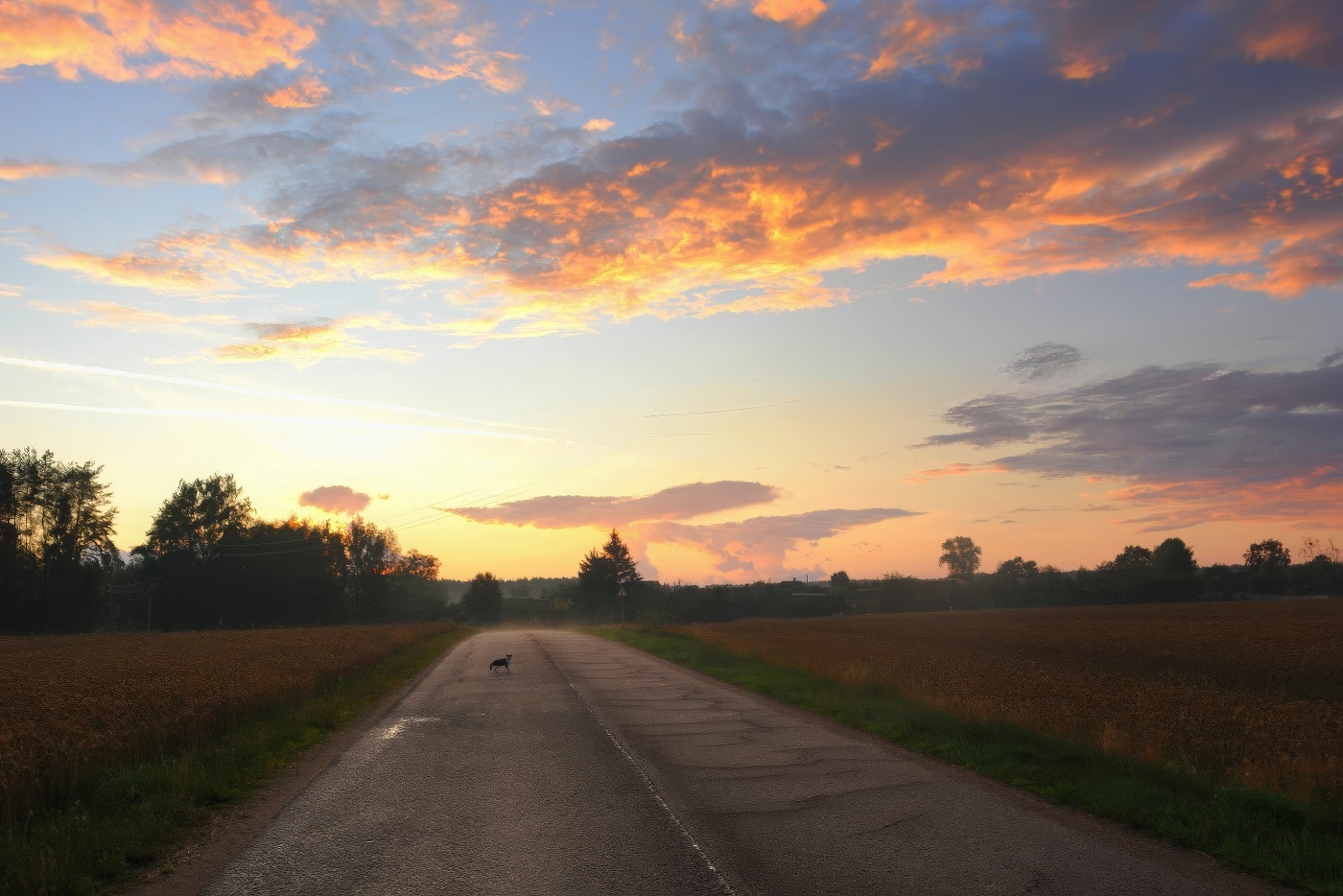 Дорога сновидений