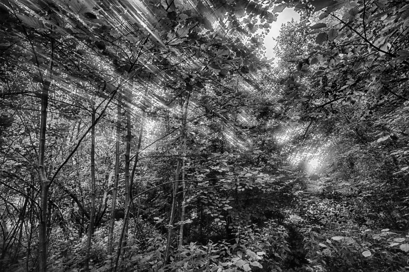 Жизнь вокруг