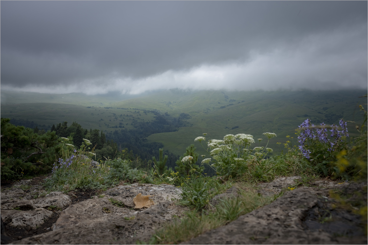 "Цветник" на вершине