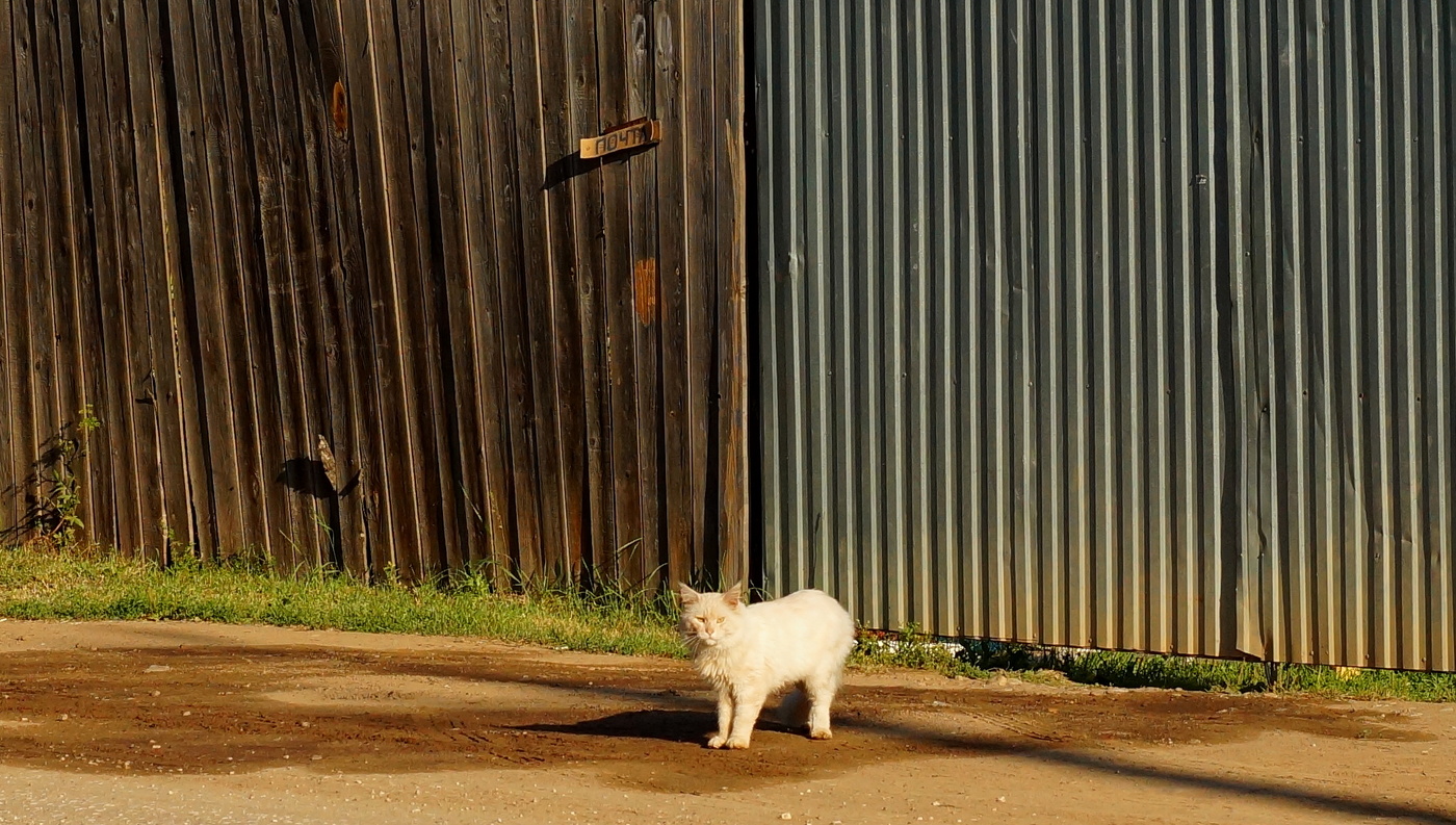 Пишите письма...