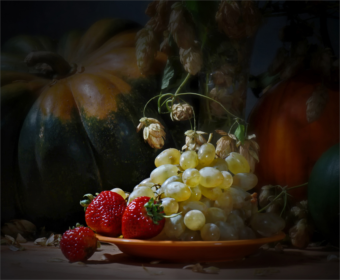 Обласканные солнцем