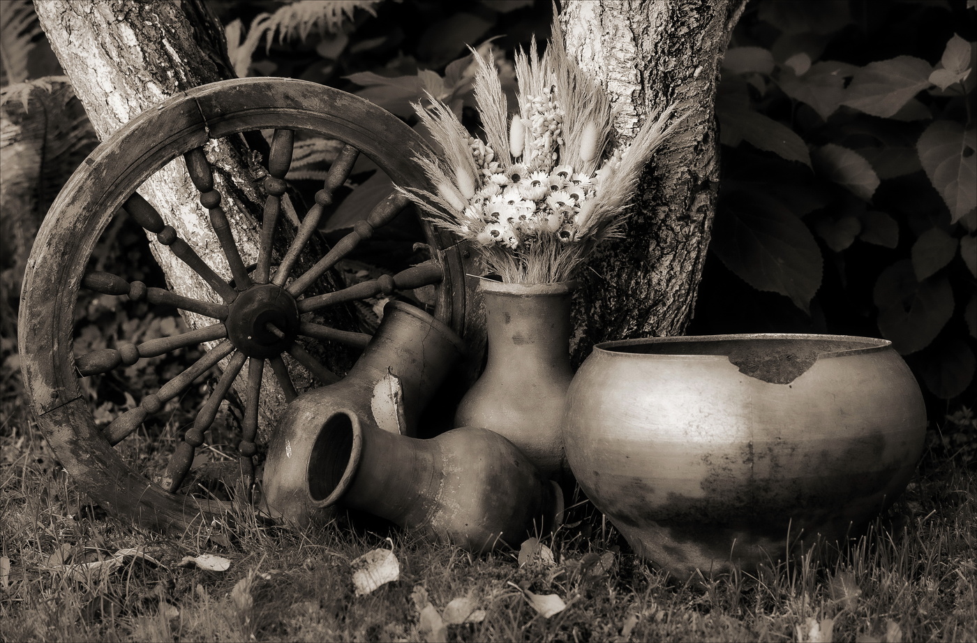 АВГУСТ ПОД ВИШНЕЙ