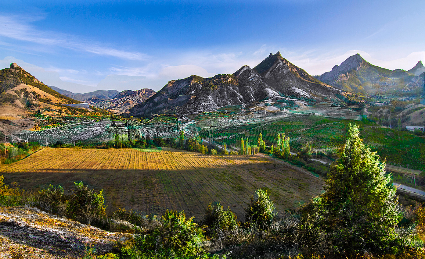 Виноградники Судака