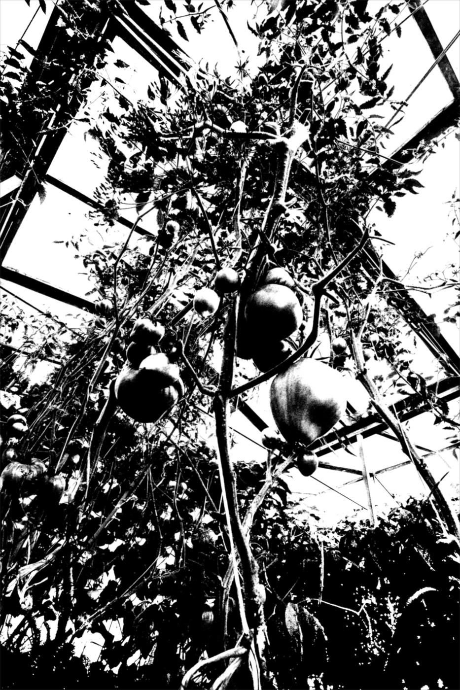 Жизнь вокруг