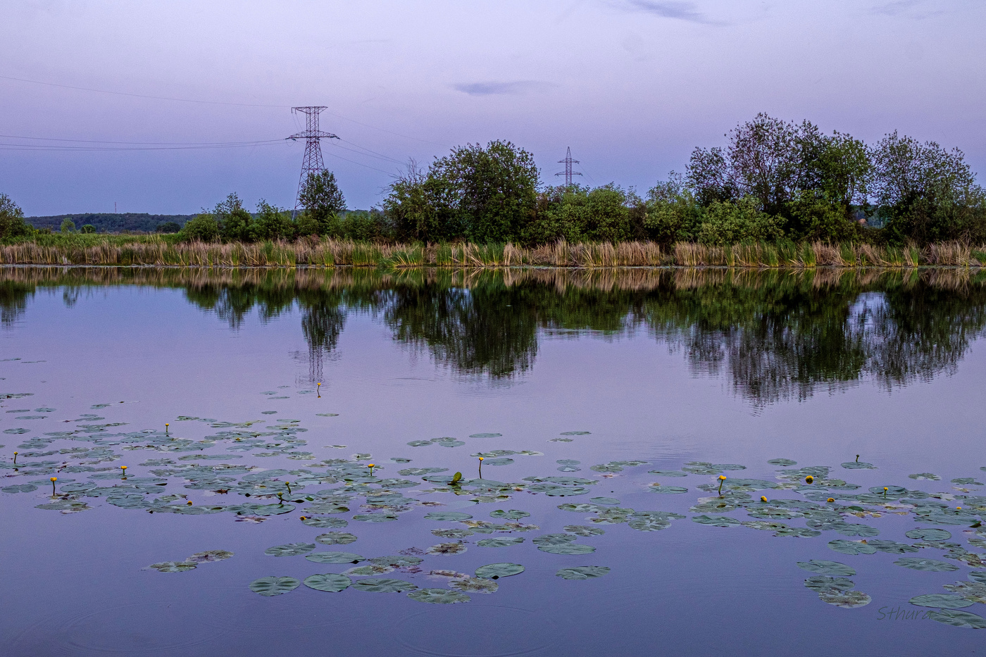 Вечер на озере Ситное.