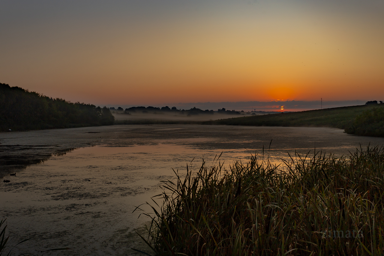 Какой будет день