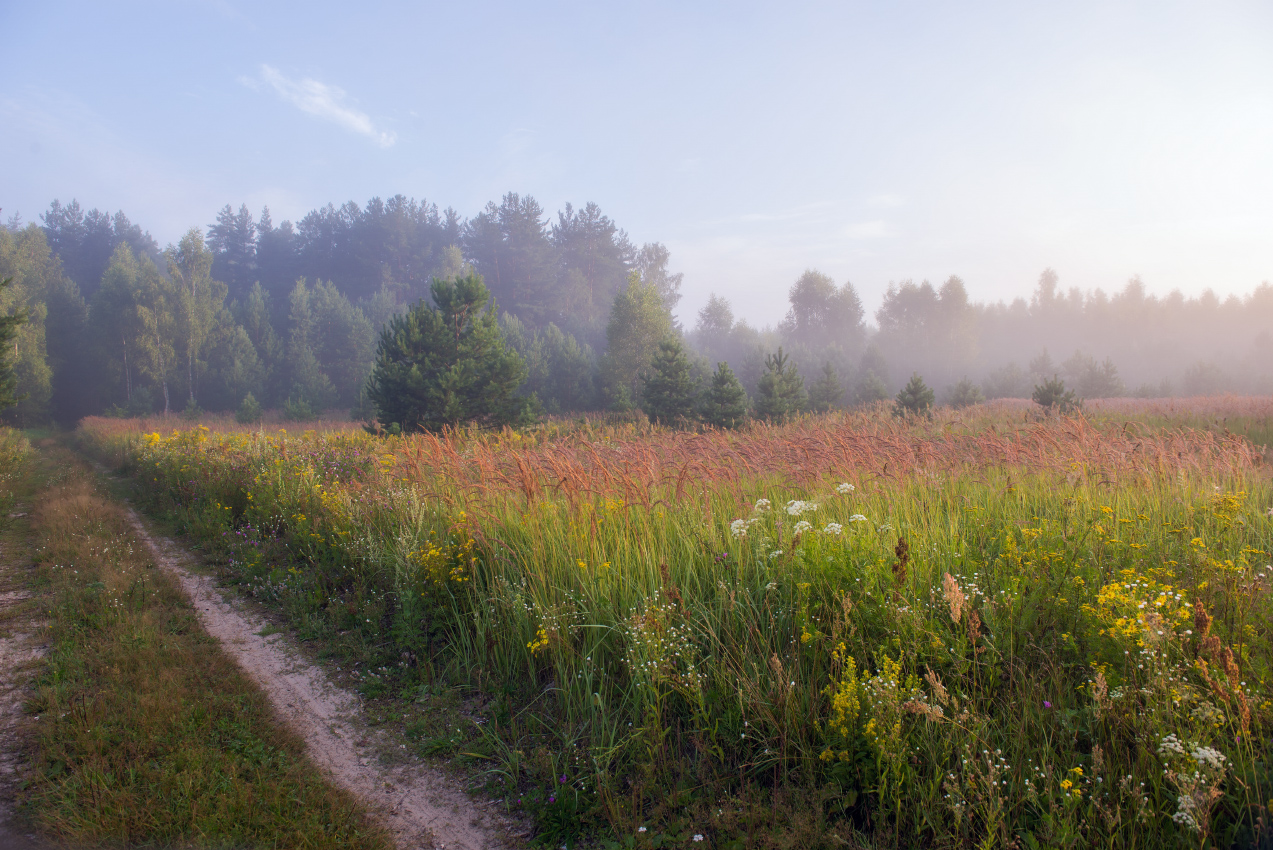 А в поле трава по пояс