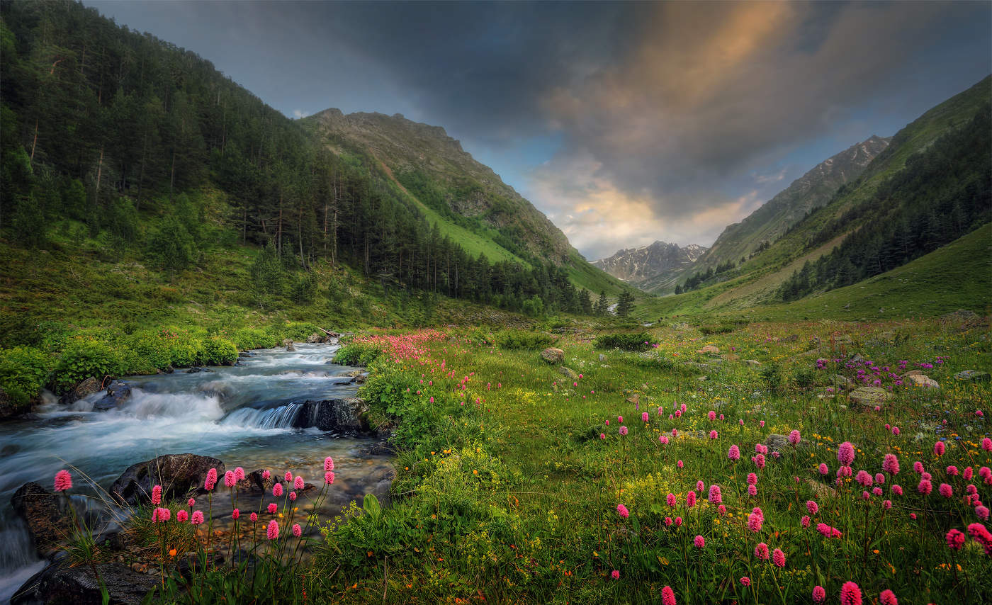 В горах Кавказа..