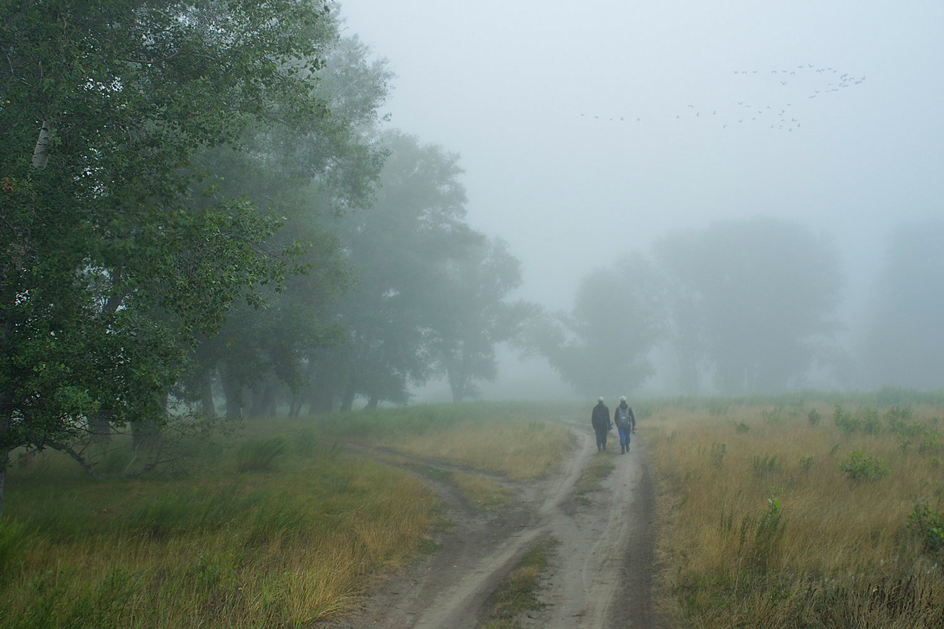 На рыбалку.