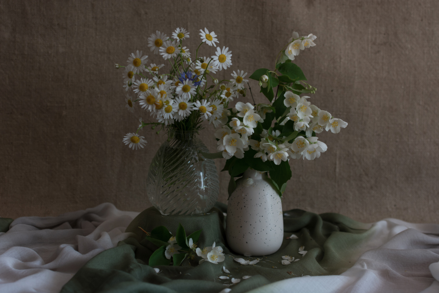 Жасмин и ромшки...Трогательное соседство.
