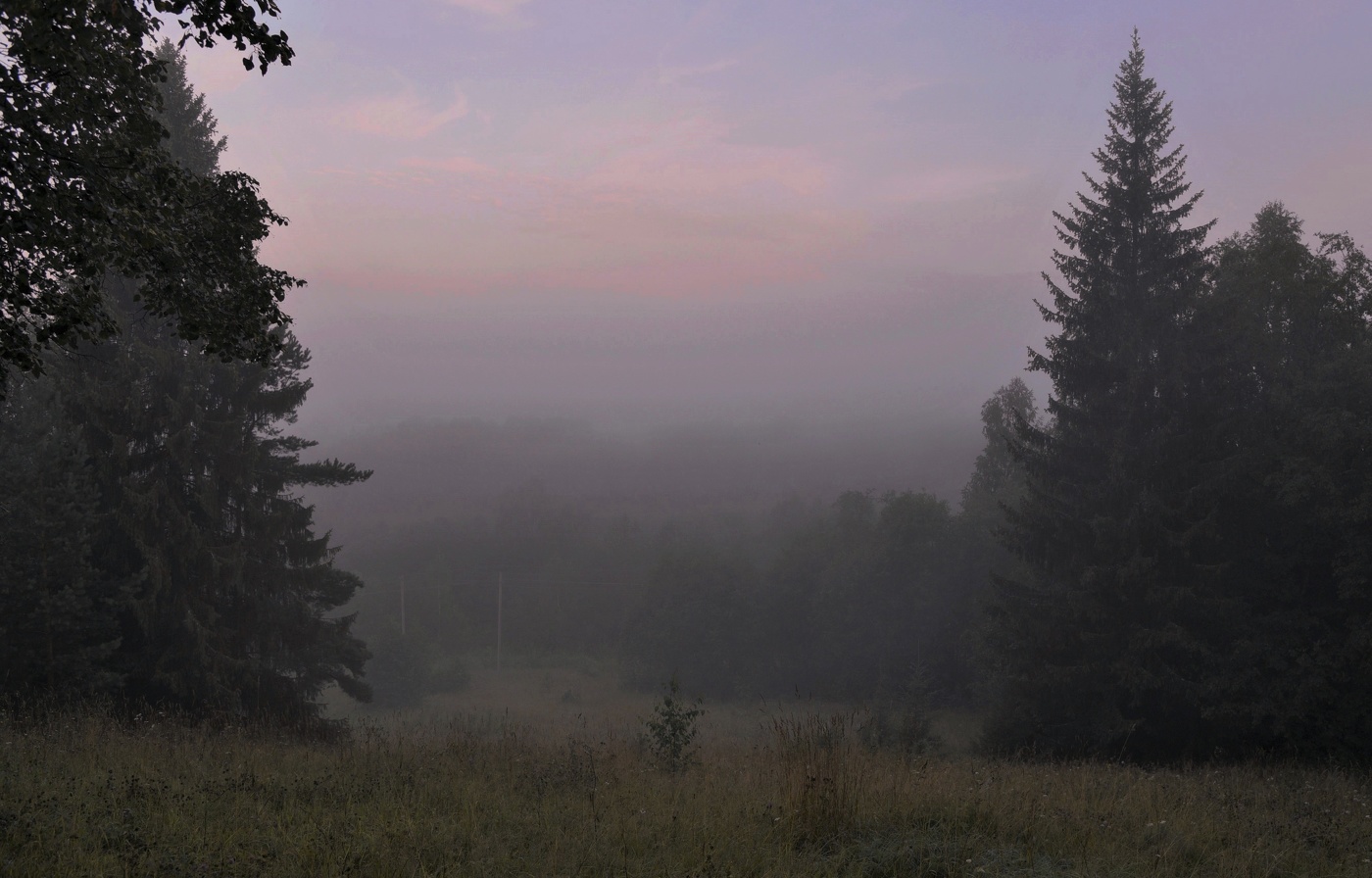 "От ночи нет уж и следа, она исчезла в никуда ..."