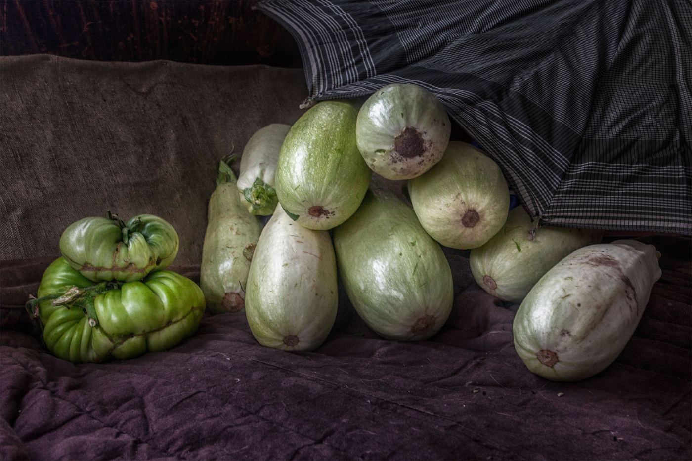 Жизнь вокруг