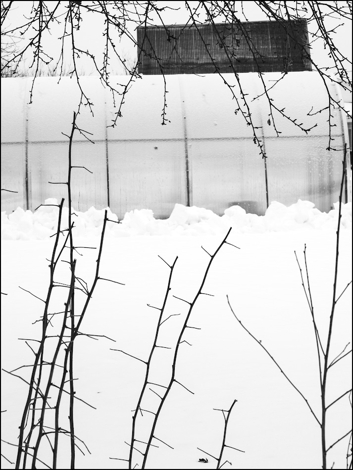 кирпичи легки