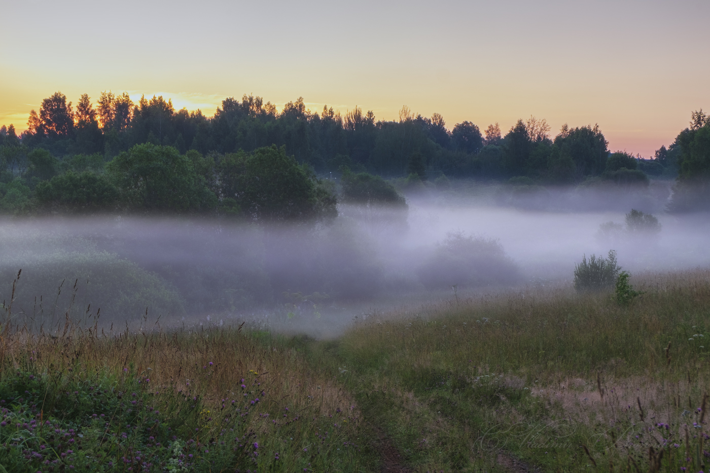 Туманными дорогами