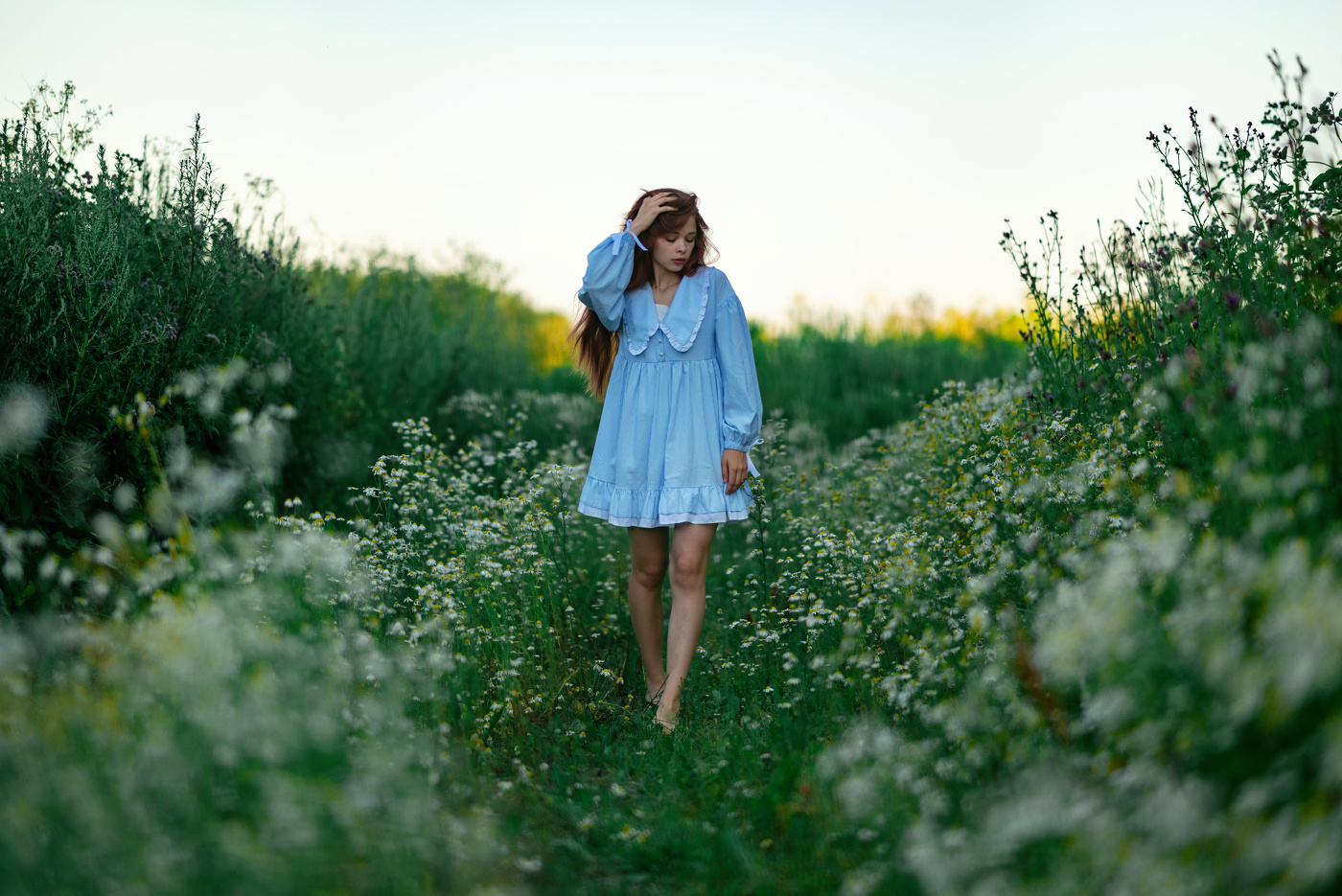 Среди ромашек