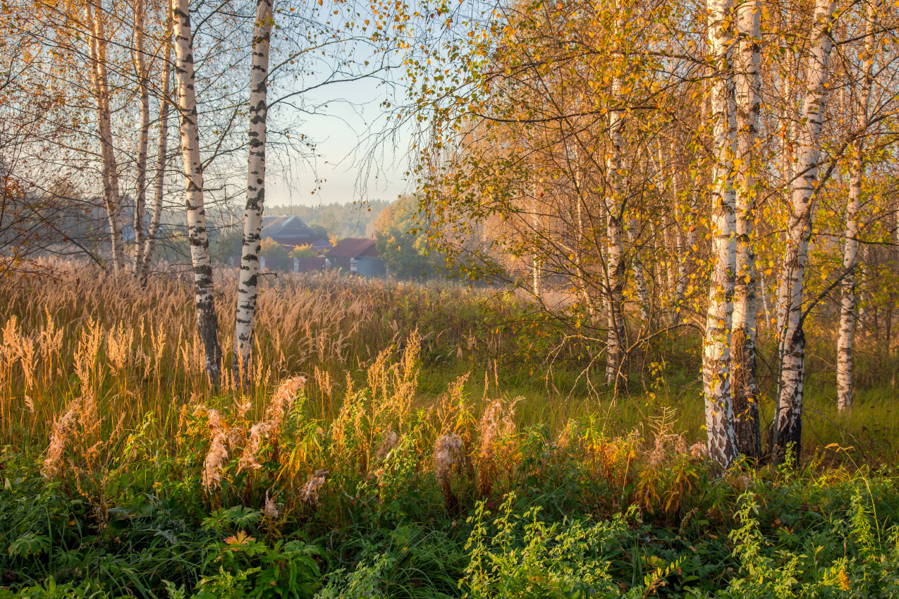 Утро на краю деревни