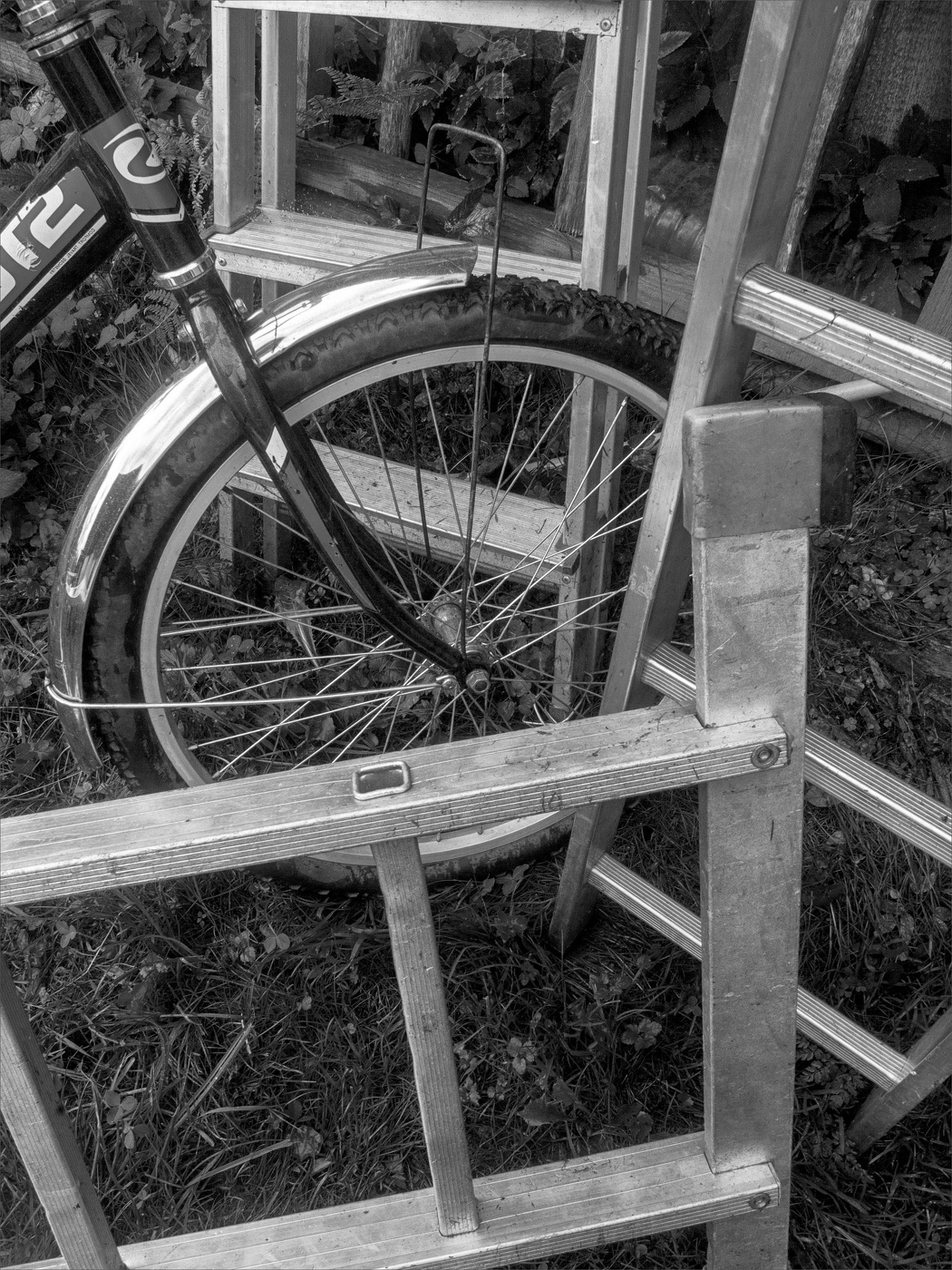 Жизнь вокруг