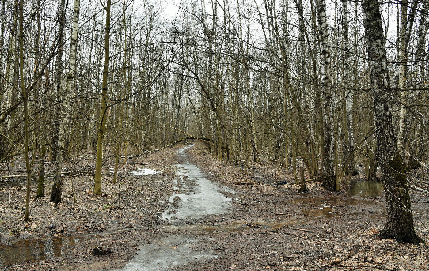 "День бесцветный дан, как милость, чтоб от красок отдохнуть..."