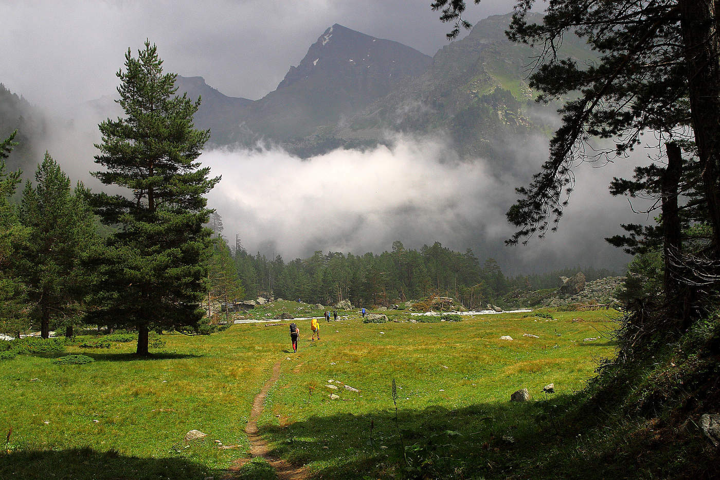 В долине Мырды