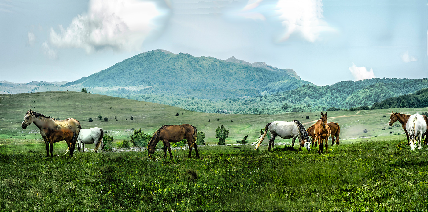 Панорама яйлы