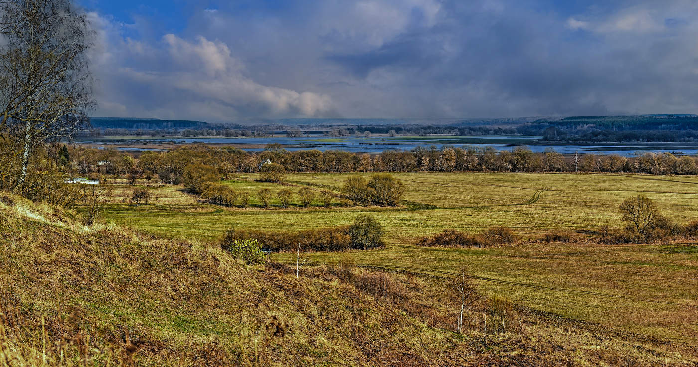 Пойма р еки Жиздры.