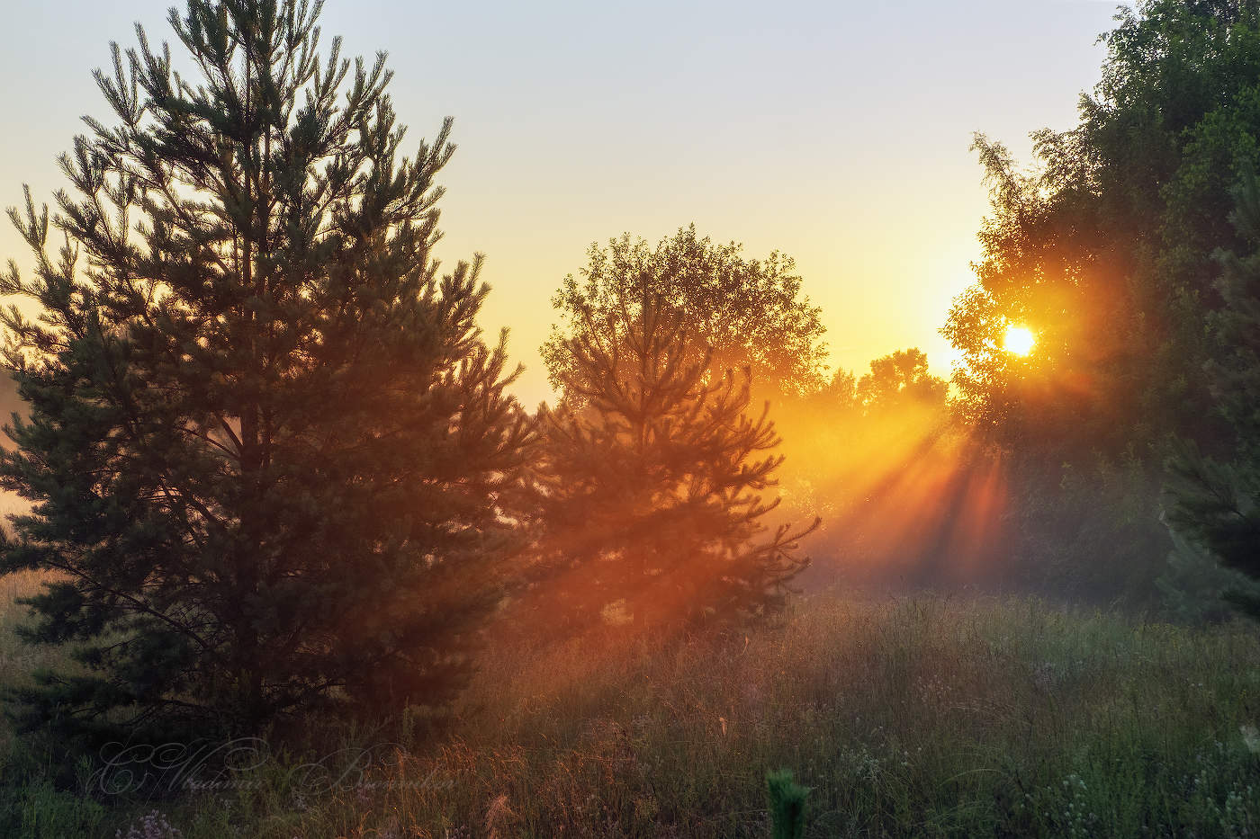 Солнечный прожектор