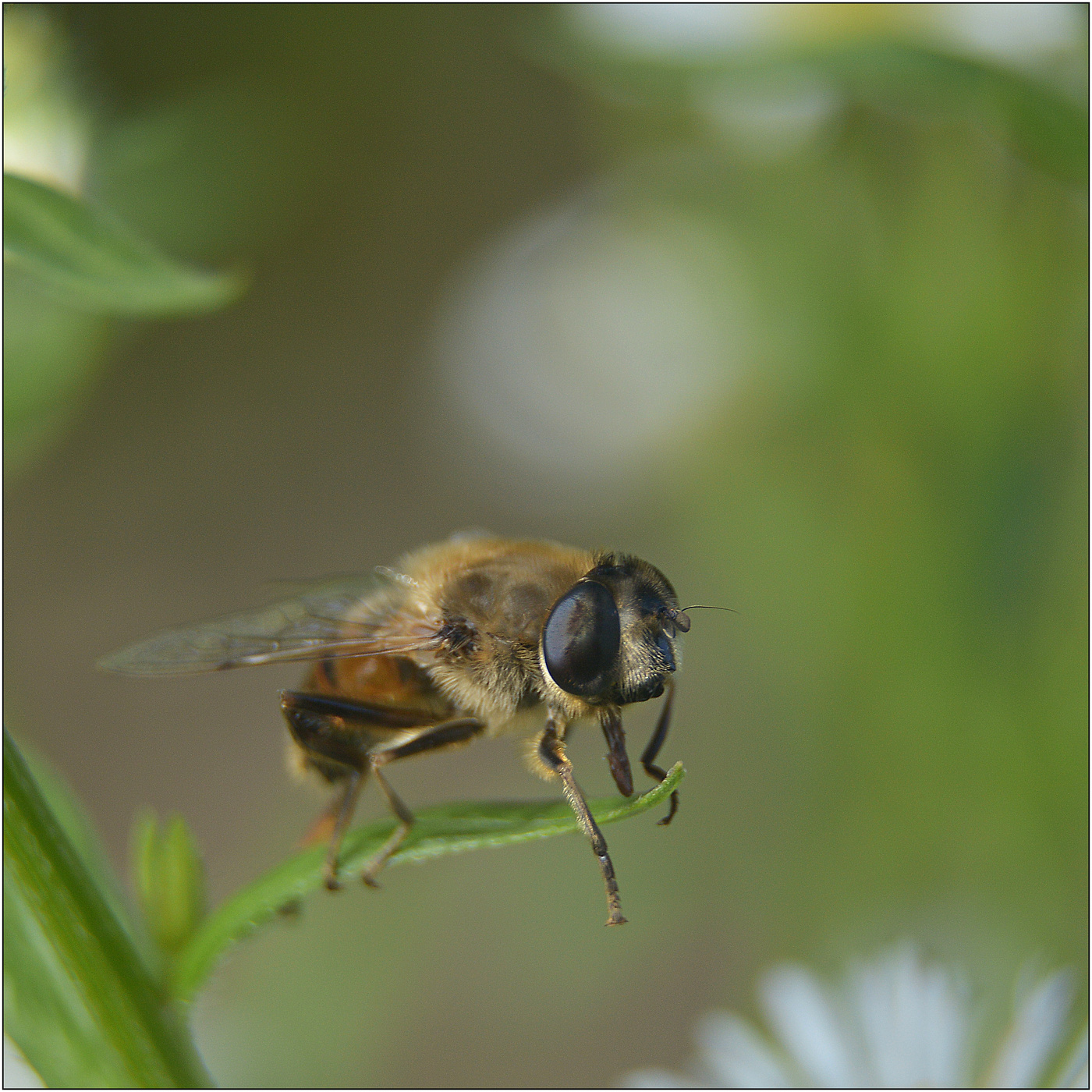 Боязнь высоты.