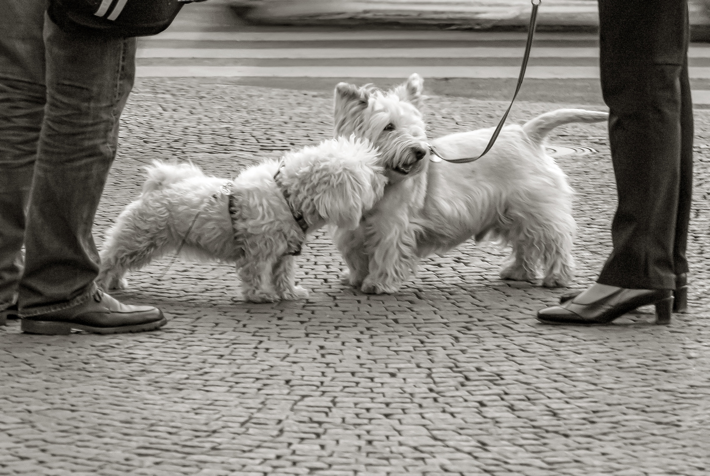 Романтическое свидание