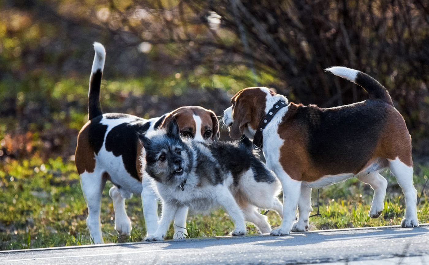 Чужой район.
