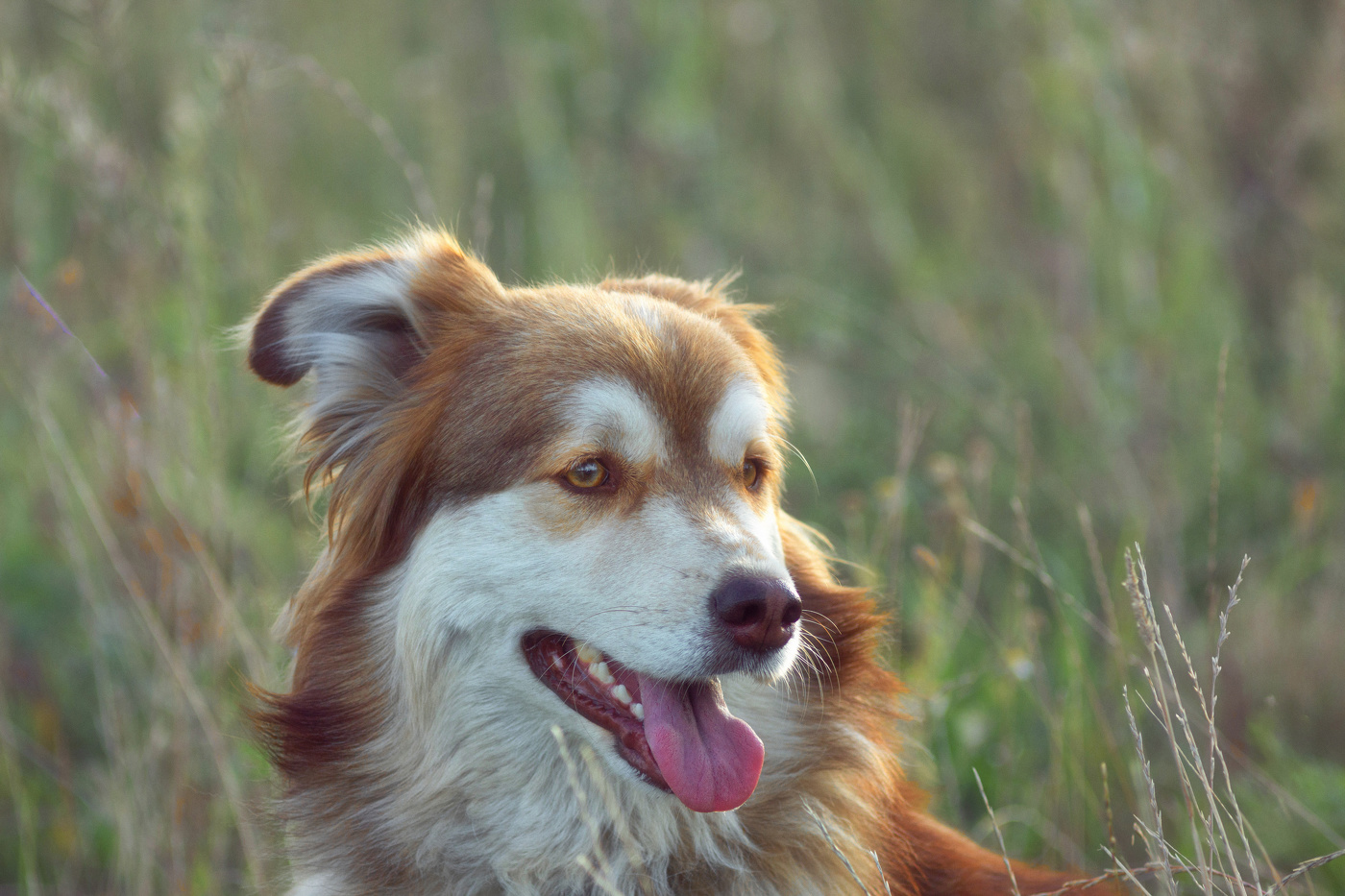 "Гламурный портрет"