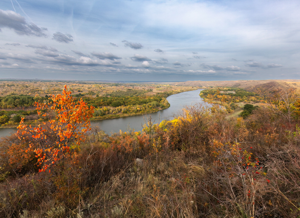 Абрикос над рекой