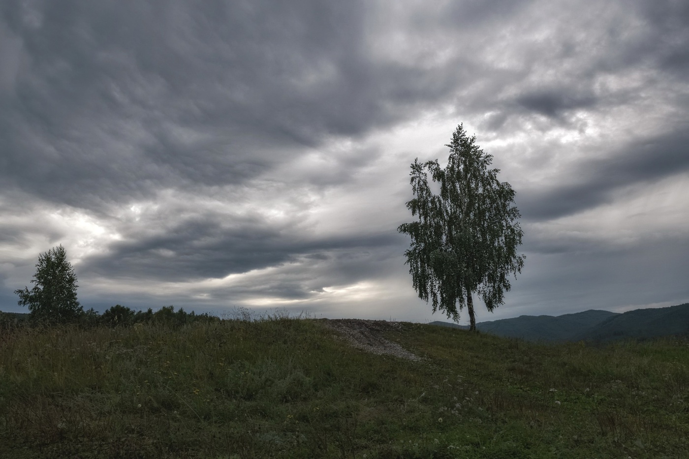 Перед дождем