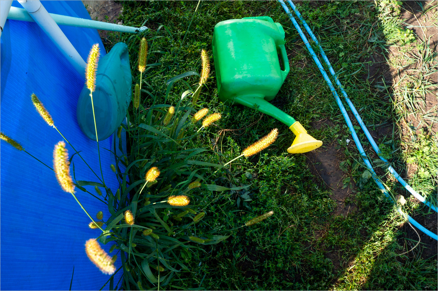 лост-н-фаундарт