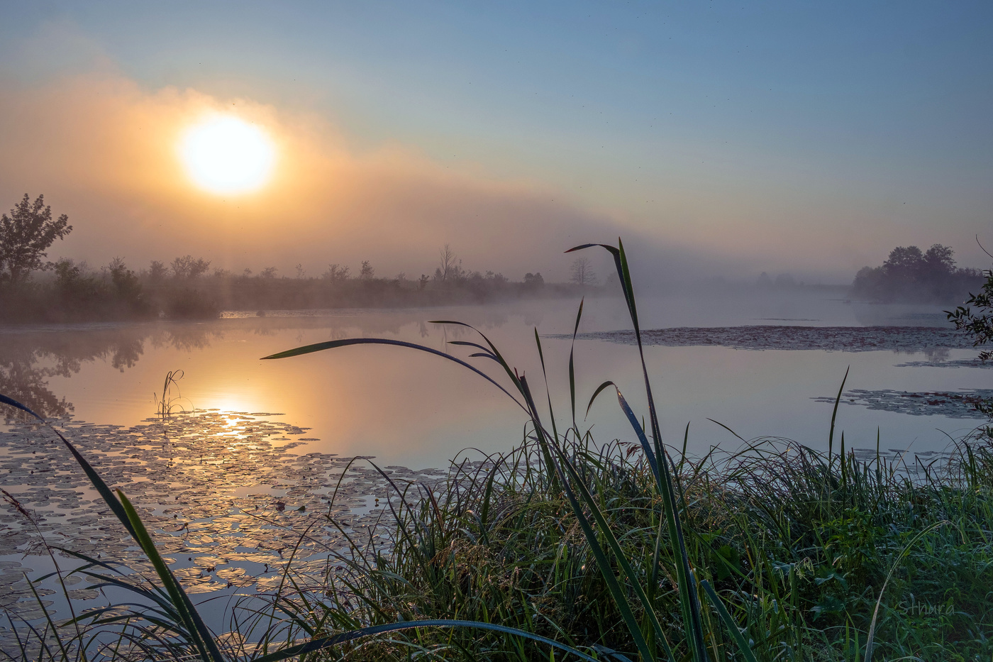 Тишина на рассвете.